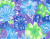 46-EARLY BLOOM.jpg (62975 bytes)