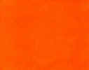 ORANGE.jpg (156246 bytes)