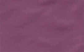 Plum.jpg (10520 bytes)