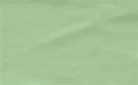 Sage.jpg (10250 bytes)