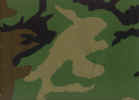 camoflage.jpg (184840 bytes)